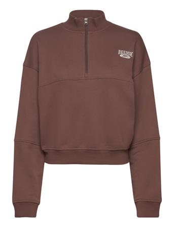 Cl Ae Coverup Sport Sweat-shirts & Hoodies Sweat-shirts Brown Reebok Classics