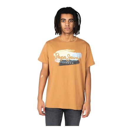 Pepe Jeans, T-Shirts Bruin, Heren, Maat:L