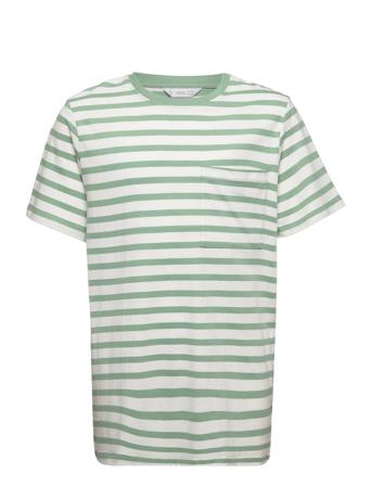 Bande2 Patterned Mango