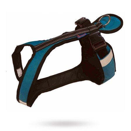 Zero DC - Zero DC Shorter Petrol & Svart