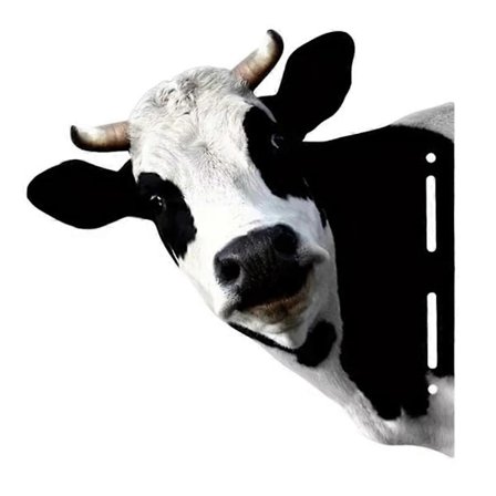 Jern Ko Havekunst Sød Kiggende Kvæg Haveindretning Dekorativ Metal Kunst Kiggende Kvæg Bondehus Anim