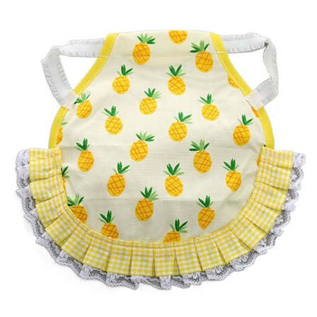 Kanasatulaesiliina Kanasuolasuoja B B