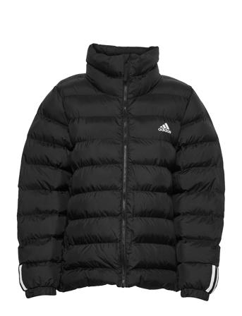 Itavic 3-Stripes Mid-Weight Jacket W Black Adidas Performance