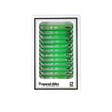 【PP】Mikroskoopin objektilasit Valmiit objektilasit mikroskooppisia näytteitä varten