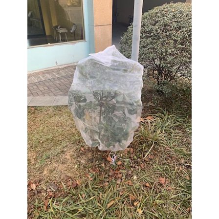 1,8 m x 1,8 m frukttrær netting, plante insektnett, fint maske insektnett med snøring, anti-oi netting