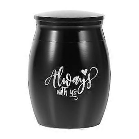 Liten minnesurna för aska efter husdjur, urna i rostfritt stål för husdjur, behållare för aska efter katt och hund