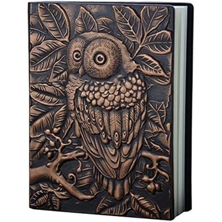 Kohokuvioitu nahkainen (keinonahka) matkapäiväkirja Vintage Craft Kohokuvioitu pöllö Antiikki päiväkirja Muistikirja Päivittäinen Viikoittainen 