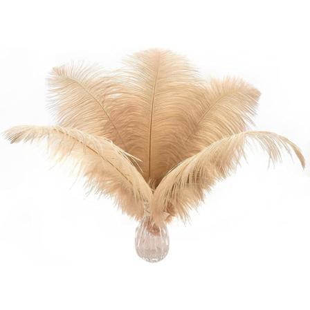 24 stykker 25-30 cm (10-12 tommer) naturlige hvite strutsfjær for