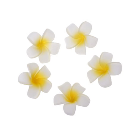 5 stk Plumeria Hawaiian Foam Frangipani Blomster Bryllupsfest Dekorasjon Hårnål