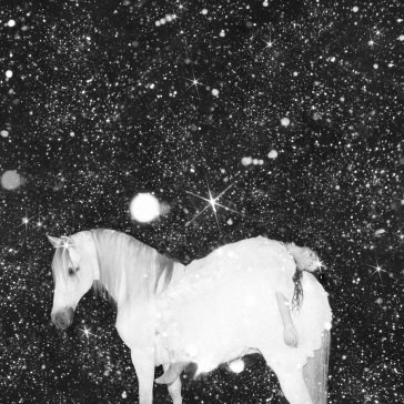 Apocalypse love Black Lips