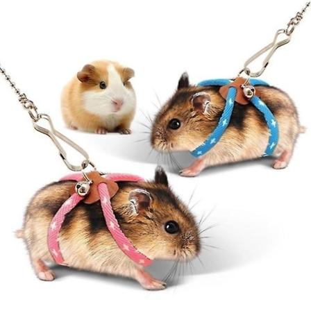Pieni lemmikki s dett v pehme valjaat talutushihna Lintu Papukaija Hiiri Hamsteri Fretti Rotta Light Blue