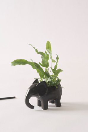 Jotex - Minikrukke Svart - BABS - Kjøp Krukker hos Jotex