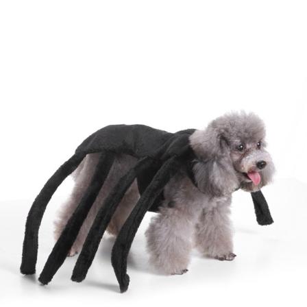 Koiravaatteet, Halloween-seuravaatteet, koirien seuravaatteet, SpSLINdelkostSLYMer L