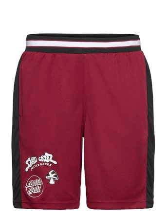 Santa Cruz | Winkowski Ocho Mesh Shorts | L