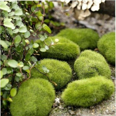 2st Ny konstgjord mossa Mossig gräs Sten Modell Mikro Landskap Trädgård Miniatyr Dekoration Prydnad