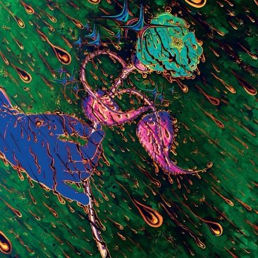 Strength of spring GRAVE FLOWERS BONGO