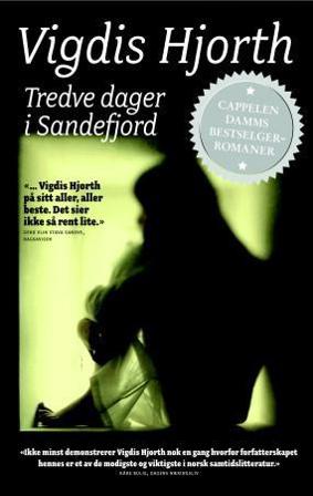 Tredve dager i Sandefjord - Bok av Vigdis Hjorth - Pocket