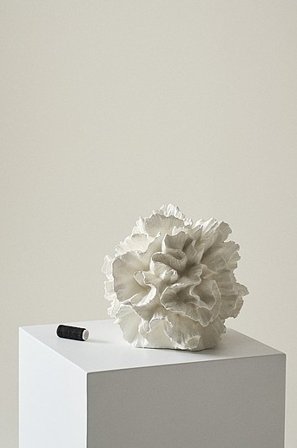 Jotex - Dekoration Naturlig hvid - CORA - Køb Pynteting hos Jotex