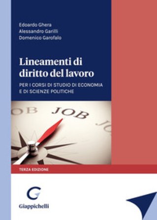 Lineamenti di diritto del lavoro. Per i corsi di studio di Economia e di Scienze politiche Alessandro Garilli