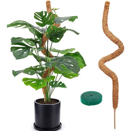 Plantestøtte / støttestav, Bøjelig Mosstav 70-100cm – Klatrestøtte 1/2-pakke, til indendørs planter, vedbend og monstera