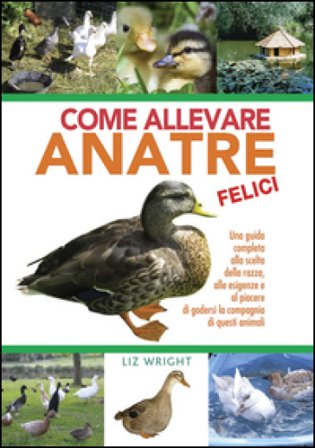 Come allevare anatre felici Liz Wright