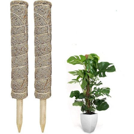 2 kpl Sammalkeppi 40 cm Kasvien Tukikepit Sisätilojen Kiipeilykasveille Kasvaa Laajennettava Luonnollinen Istutuskeppi