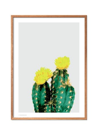 Poster & Frame Opuntia Cactus - Multi/patterned - 50X70CM