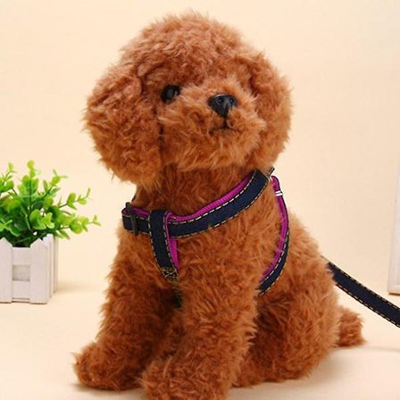 2 stk Hund Sele og Nylon Tau for Gåtur