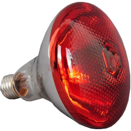 250W Eksplosionssikker Infrarød Varmelampe - Tyk Vandtæt Eksplosionssikker Pære til Smågrise, Kyllinger, Ænder, Fugle