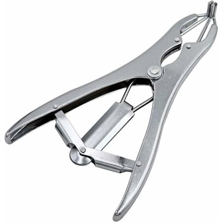 Tång för kastrering av djur i stål, tång för avskärning av grisstjärtar