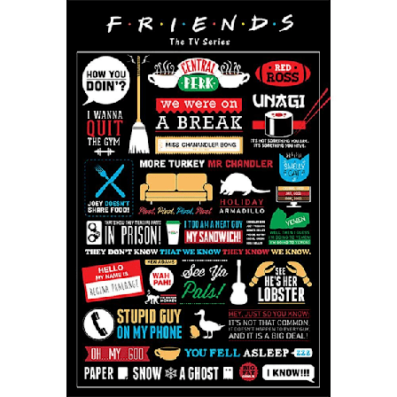 Friends Infografisk Poster 61cm x 91.5cm Flerfärgad