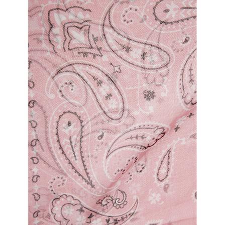 Alanui Accessories Pink, Dame Tørklæder, Størrelse: ONE Size