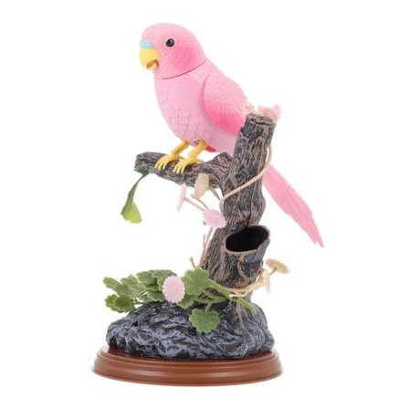 Papegøye Snakker Fugl Elektronisk Opptak Kjæledyr Snakker Elektrisk Dyr Move Statue