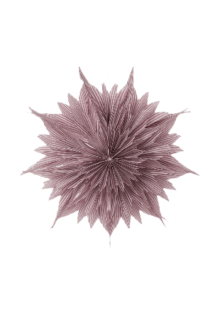 Åhléns Home Randig adventsstjärna EVA 50 cm Belysning Vit NOZSIZE