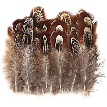100 stk. 2-3 tommer Naturlige Fasanfjer i Bulk Forskellige Farver Naturlige Fjer Håndværk Tøj Hat Syning Dekoration