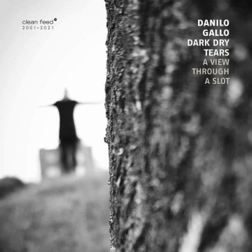 A view through a slot DANILO GALLO DARK DR