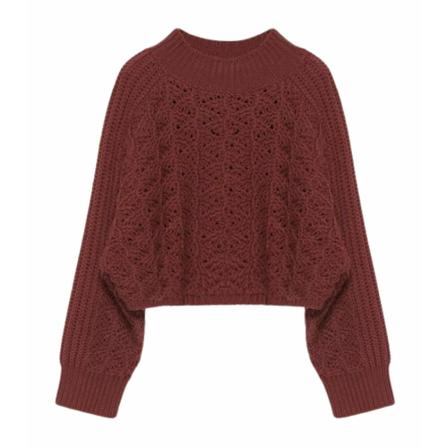 Fabiana Filippi Sweatshirts Brun, Dame