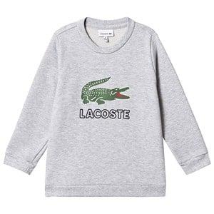 Kids - Lacoste Gray Logo Print Sweatshirt 14 years - Jumpers and knitwear - 14 years - Grey