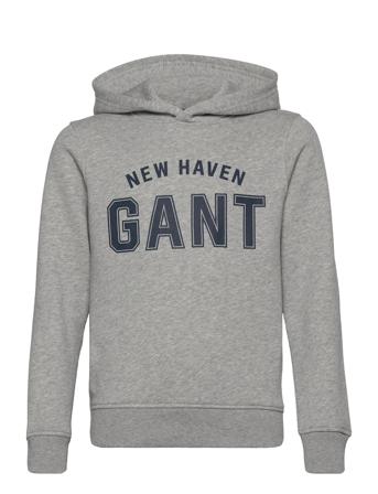 Logo Sweat Hoodie Grey GANT