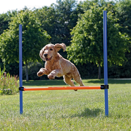 Trixie - Dog Activity Agility Hurdle - Fully Adjustable Height 123 x 115 cm - Hund - Hundetrening & bruksspor - Agility & flyball - ZOO.no