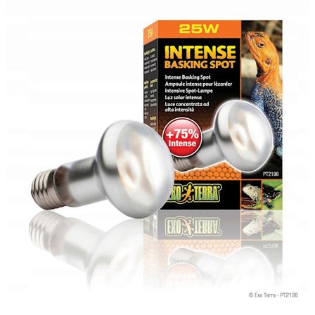 Intense Basking Spot Bulb - Lämmitys 25w