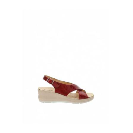 Cinzia Soft, Women's sandals in leather Rood, Dames, Maat:35 EU