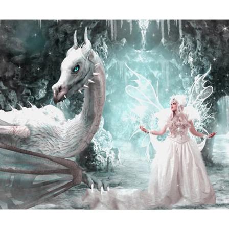 Diamond Painting 5d Diy Diamant Målning Elf-tjejen Och Den Vita 30x40cm