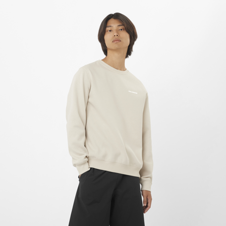 Salomon - Drugie warstwy (termiczne) Odzież Salomon Logo Crewneck M - Rainy DAY