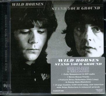 Stand your ground Wild Horses