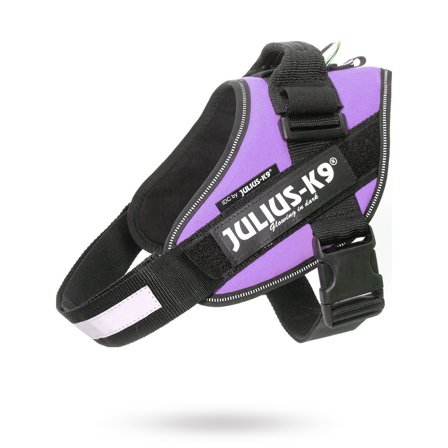 JULIUS-K9 - K9 IDC Hundsele Lila