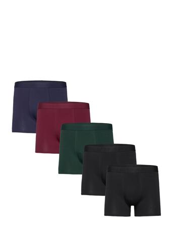 Bo.5P Tonal Boxer Black Frank Dandy