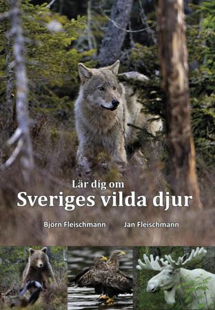 Lär dig om Sveriges vilda djur - Bok av Jan Fleischmann & Björn Fleischmann - Häfte
