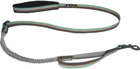 OllyDog Flagstaff Adjustable Spring Leash Surf