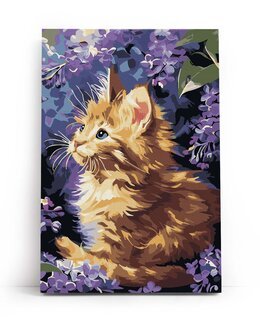 Paint By Numbers Röd kattunge